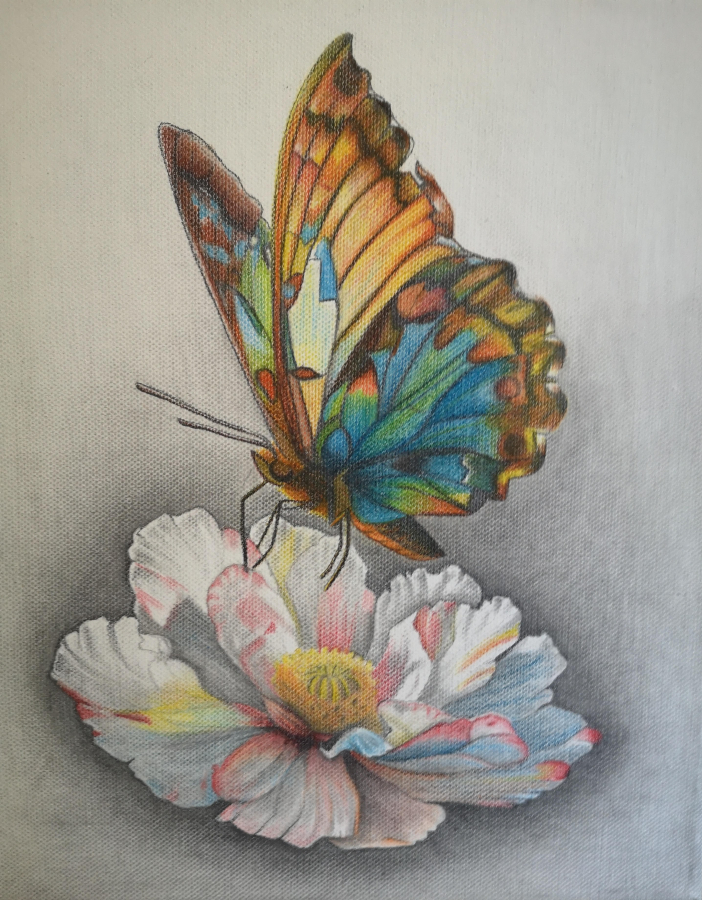 Papillon couleur
